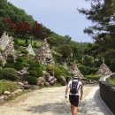 용인운전면허시험장 사거리 이미지