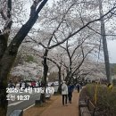 봉두 | 진안 마이산 암마이봉 등산 후기 - 마이산 등산코스 추천│소요시간, 난이도(비룡대~봉두봉~암마이봉~탑사)