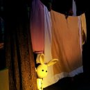 속임수에 걸린 꾀보토끼 이미지