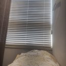 388 | 압구정 루나의원 루비레이저 388방 후기 , 1일차