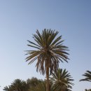 마라의샘 이미지