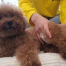 고잔유치원 이미지