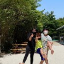 본촌초교 이미지