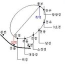 손과 발에서 경락의 보사가 동일한 이유(1) 이미지