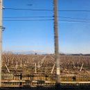 밀라노세탁소 이미지