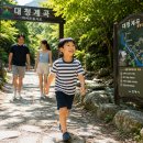 대청공영주차장 | 🏞️ 김해 두 번째 계곡 명소, 대청계곡 주말에 아이와 함께 다녀온 후기