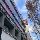 냥만미용실 | 서울 건대 레이어드 컷, 허쉬컷 잘하는 전문 미용실 추천 준오헤어 혜진실장님 후기