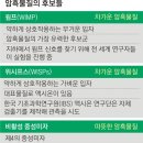 지구에 없는 ‘제5의 힘’ 찾는 과학자들(서울신문) / ‘제5의 힘’이 기존 종교의 독선을 넘어서는 단초를 준다(해독제) / ‘우주의 기원’규명하는 페르미* 이미지