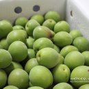 덕천2농장 이미지