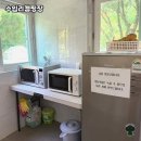 수입리캠핑장 | 양평 서종면 힐링 캠핑Spot, 수입리캠핑장 다녀왔어요! 🌿🏕️