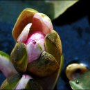 겨레농장 이미지