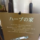 머리家 | 로프웨이 타고 올라가는 힐링 공간, ‘고베 누노비키 허브원 ハーブの家(허브의 집)’ 후기