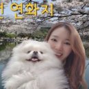 인생푸드 이미지