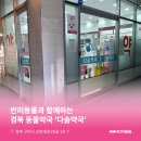 다솜약국 이미지