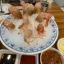 마포꽃새우활어회