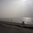 고창선운사 정금자할매풍천장어 이미지