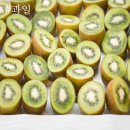 예신남양주점 이미지