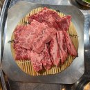 아라동 맛집 제주대 근처 콜키지 가능한 제주 소고기 칠프로칠백 아라직영점