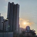 스타벅스 포항포스코DT | 포항스타벅스 DT 초곡점 두바이 말차라떼 음료 후기