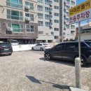 선미돈돌이