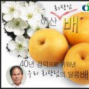 미디자인센터 | 설선물추천 ~ 아산장터 배마을배 진수맘 블로그 이벤트 당첨자 발표!!