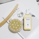 향좋은바디워시추천, 원더바스 살롱 드 스파 바디워시 앤 트리트먼트 ♥