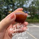 요이따상점