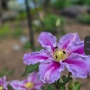 수채화별당 이미지