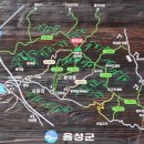 안말목장 Daum카페