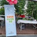 호법 코스모스길 | 이천, 아담한 꽃축제 '호법꽃축제' 다녀온 후기 자연 그대로의 소박함