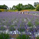 남계농장 이미지