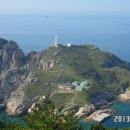 세네일 이미지