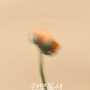 갑부부동산공인중개사사무소 이미지