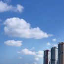 부동산 공경매 기초 네이버블로그