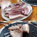 지우정 Daum카페