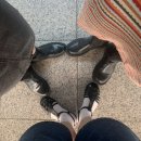 불개미옷수선 - 금산군 뒷담말길 18 | 아온소❤️‍🩹 전포 옥반 스테이프리 카페클릭 다녀왔당