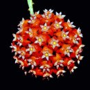 동하형틀 이미지