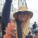 제주 체험 배낚시 “부영호 형제섬 2시간 체험 배낚시“ 후기!