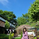 파티오-25 이미지