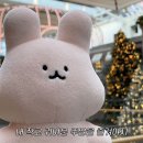 리틀베이 이미지