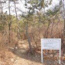 서달로 이미지