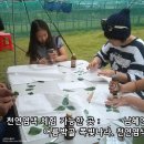 도니울목장 네이버블로그