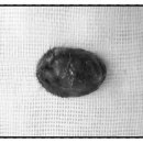 닥터 전 동물병원 이미지