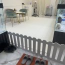 김해 강아지분양 고양이분양 도그하우스 대성점 이미지