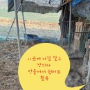 리하이브 이미지