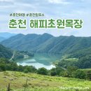 케거덩춘천꿩농장 | 춘천 해피초원목장 동물 먹이체험/ 포토존/ 주차장 방문 후기