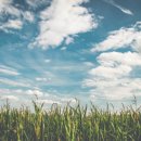 동일환경산업 이미지