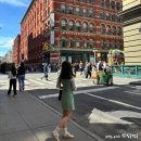 뉴욕여행 4일차 1편 센트럴파크 피크닉-매그놀리아-소호 쇼핑-뉴욕스투시-트레이더조 방문후기