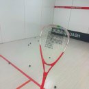 ㈜오솔루션서울지점 | 광화문 스쿼시 ㅣ 서울 스쿼시 첫 레슨 후기