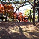 우제류를위하여 이미지